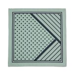 Trilogy Clothing Pistacio Scarf