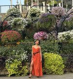 Prive Collection Vasia Maxi Dress - Burnt Orange - Image 6